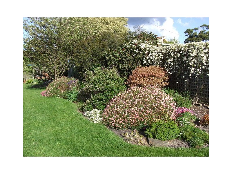 15 Gibbons Street, Wynyard TAS 7325