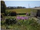 605 Deep Creek Road, Wynyard TAS 7325