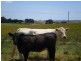 605 Deep Creek Road, Wynyard TAS 7325