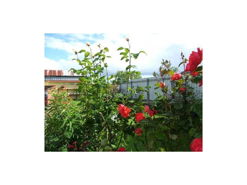 20 Inglis Street, Wynyard TAS 7325