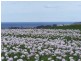 52 Dallas Road, Somerset TAS 7322