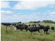 52 Dallas Road, Somerset TAS 7322