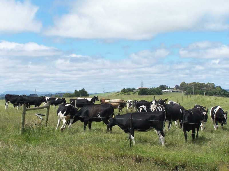 52 Dallas Road, Somerset TAS 7322