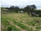 Lot 1 Tippetts Lane, Mount Hicks TAS 7325