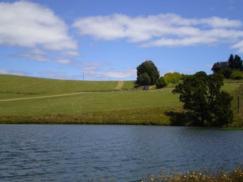 1673  Oldina Road, Wynyard TAS 7325