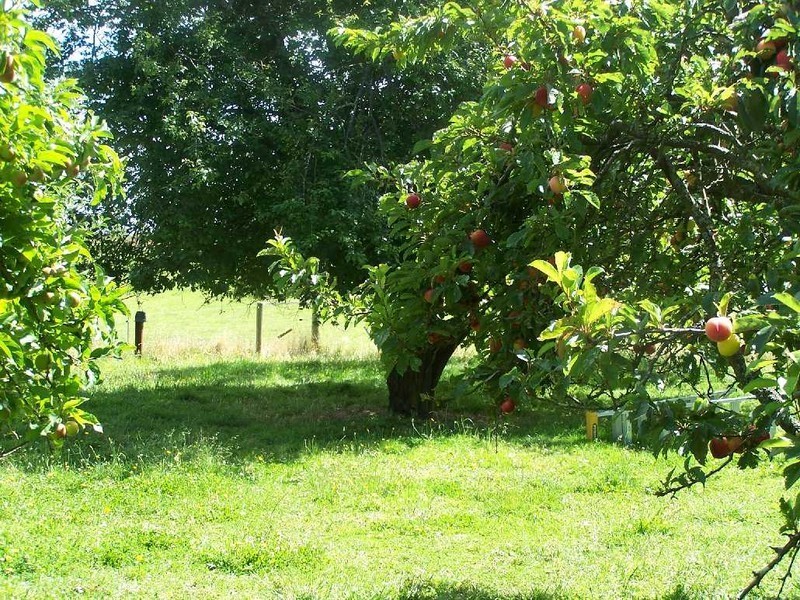 127 Little Village Lane, Somerset TAS 7322