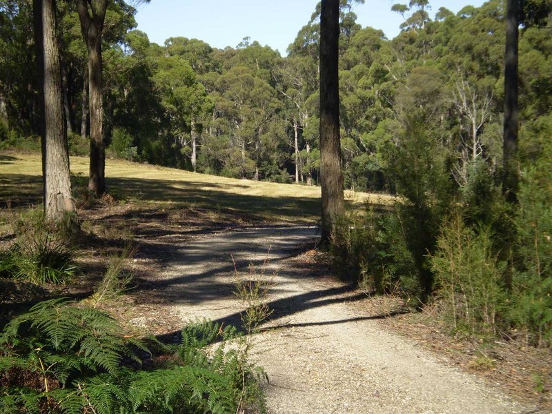 234 Pages Road, Wynyard TAS 7325