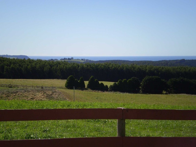 1209 Oldina Road, Oldina TAS 7325