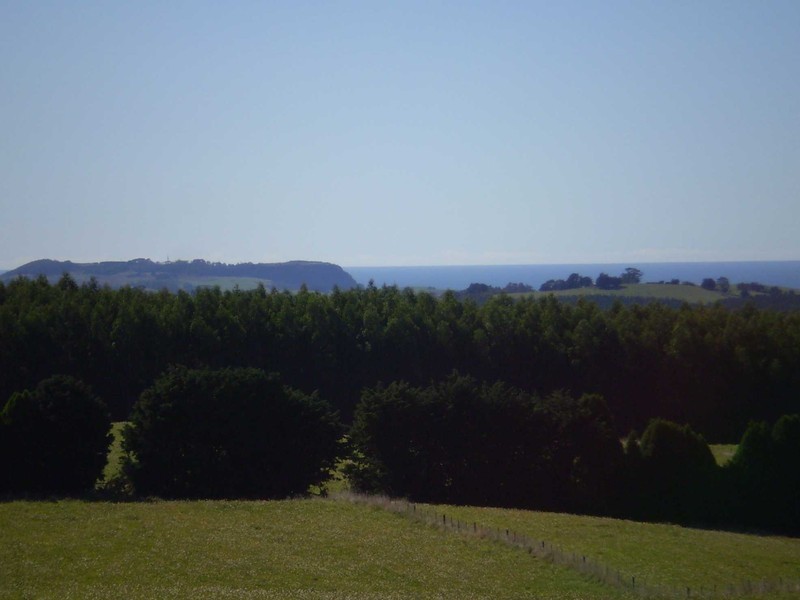 1209 Oldina Road, Oldina TAS 7325