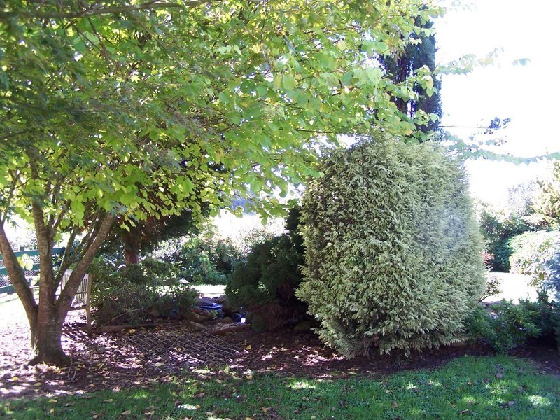 9 Takone Road, Yolla TAS 7325