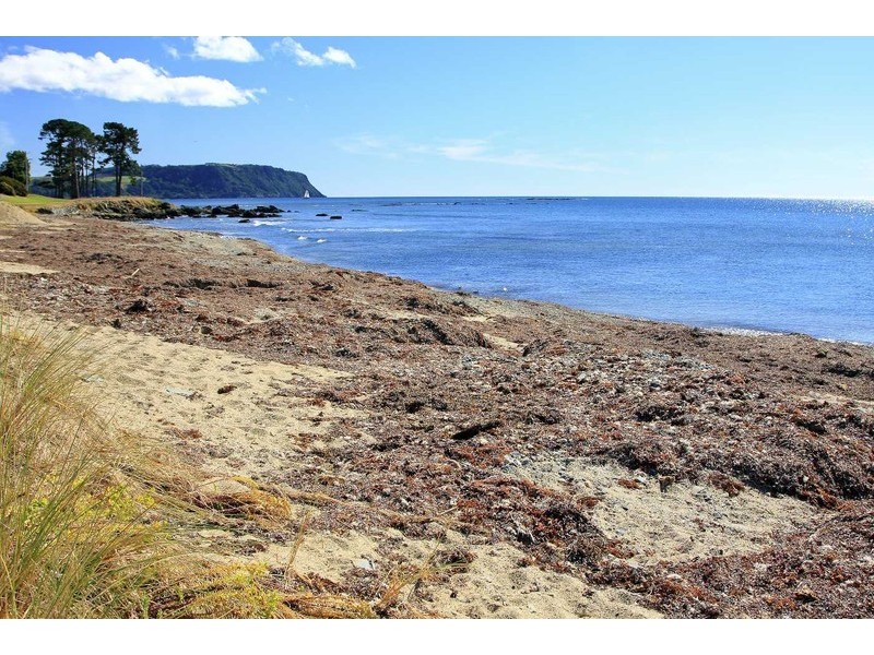 107 Old Bass Highway, Wynyard TAS 7325