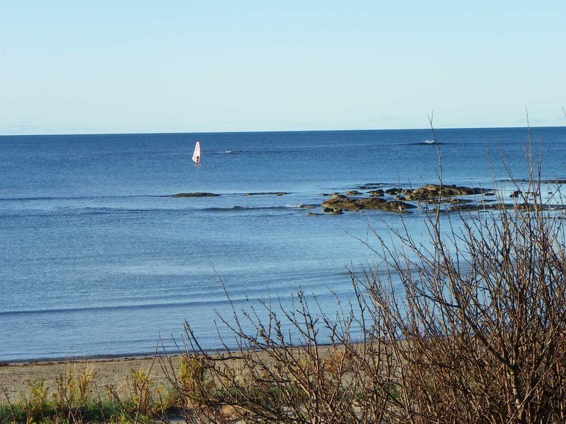 111 Old Bass Highway, Wynyard TAS 7325