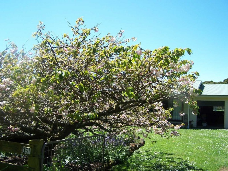 351 Rulla Road, Sisters Creek TAS 7325