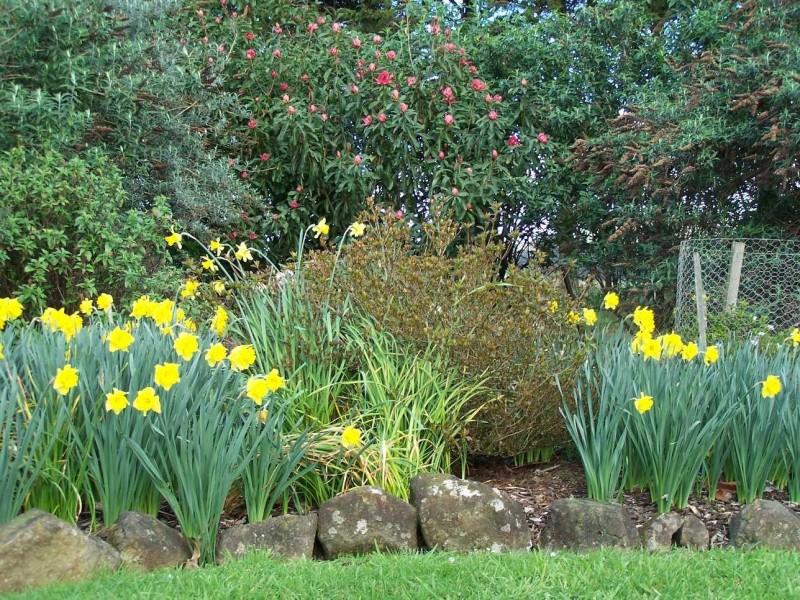 351 Rulla Road, Sisters Creek TAS 7325