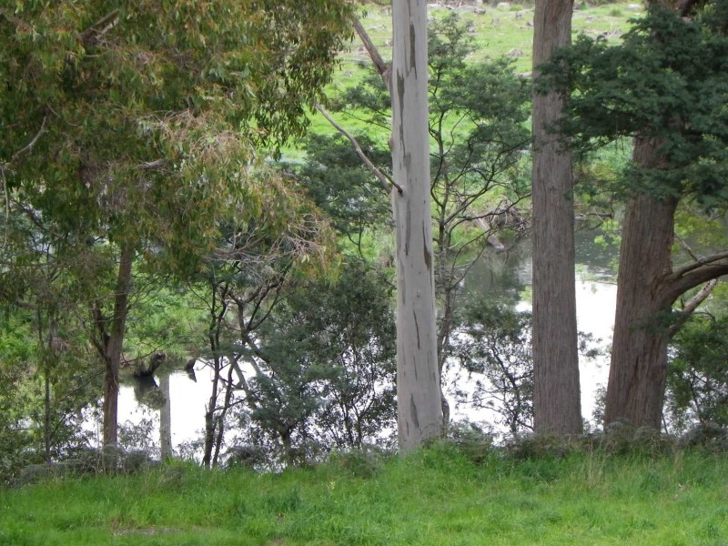 1 Henry Street, Somerset TAS 7322