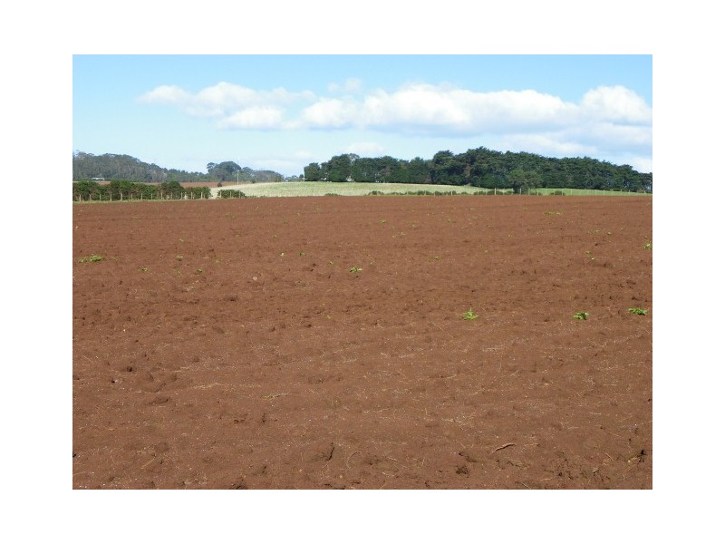 237 Tollymore Road, Table Cape TAS 7325