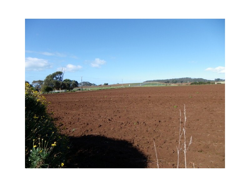 237 Tollymore Road, Table Cape TAS 7325