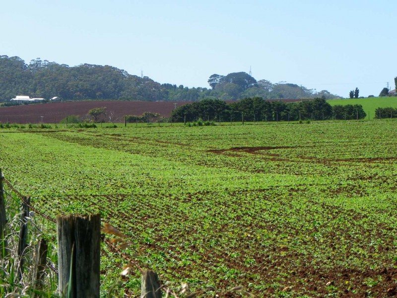 237 Tollymore Road, Table Cape TAS 7325