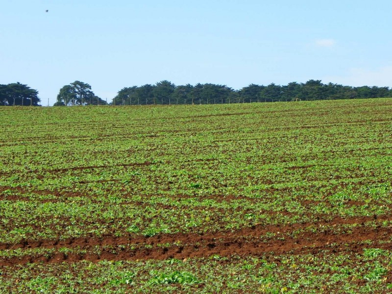 237 Tollymore Road, Table Cape TAS 7325