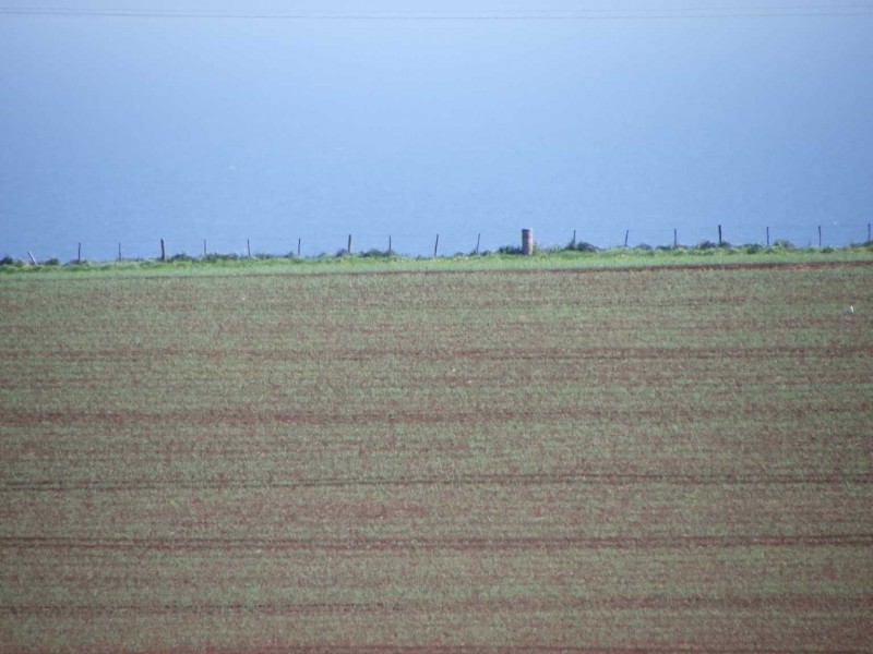 237 Tollymore Road, Table Cape TAS 7325