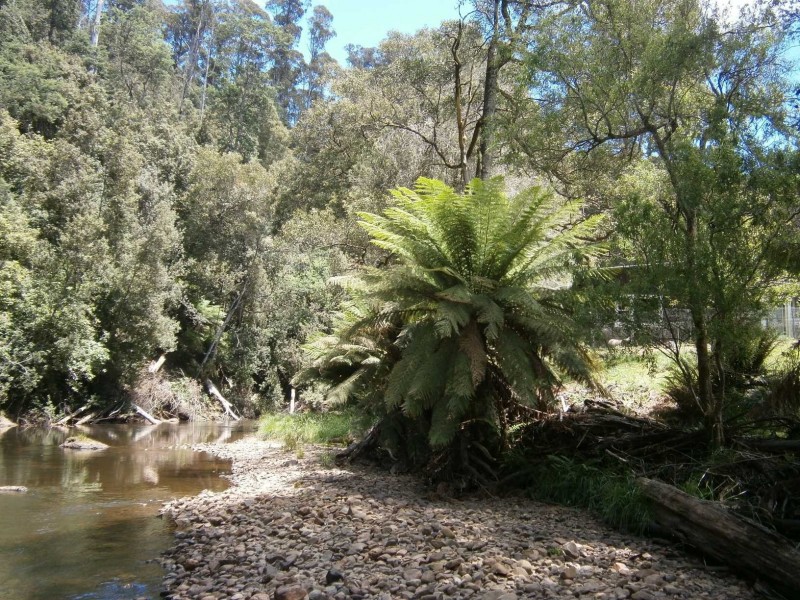 249 Zig Zag Road, Calder TAS 7325