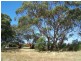 237 Old Bass Highway, Wynyard TAS 7325