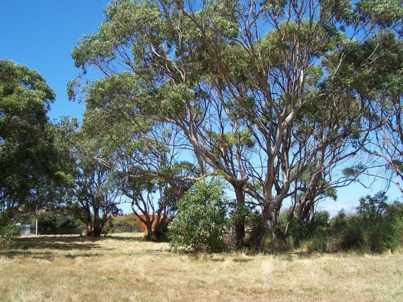 237 Old Bass Highway, Wynyard TAS 7325