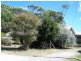 237 Old Bass Highway, Wynyard TAS 7325