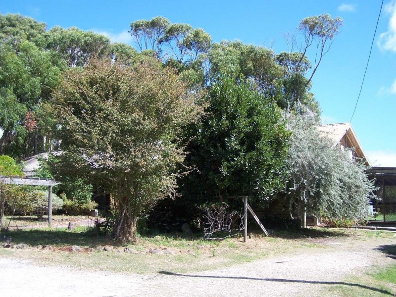 237 Old Bass Highway, Wynyard TAS 7325
