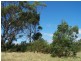 237 Old Bass Highway, Wynyard TAS 7325