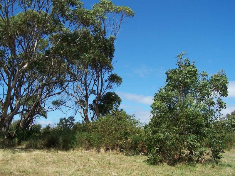237 Old Bass Highway, Wynyard TAS 7325