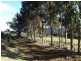 0 Kimberleys Hill Road, Milabena, Milabena TAS 7325