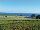 512 Tollymore Road, Table Cape TAS 7325