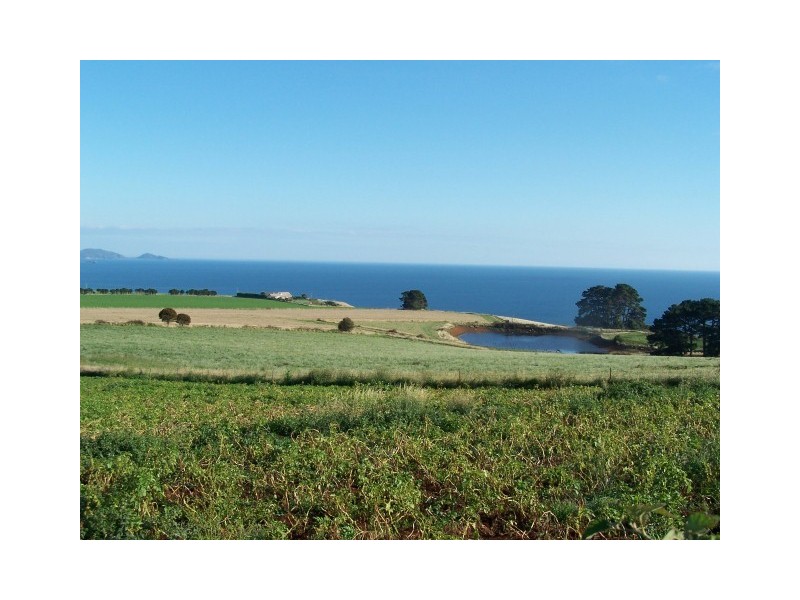 512 Tollymore Road, Table Cape TAS 7325