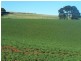 512 Tollymore Road, Table Cape TAS 7325