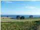 512 Tollymore Road, Table Cape TAS 7325