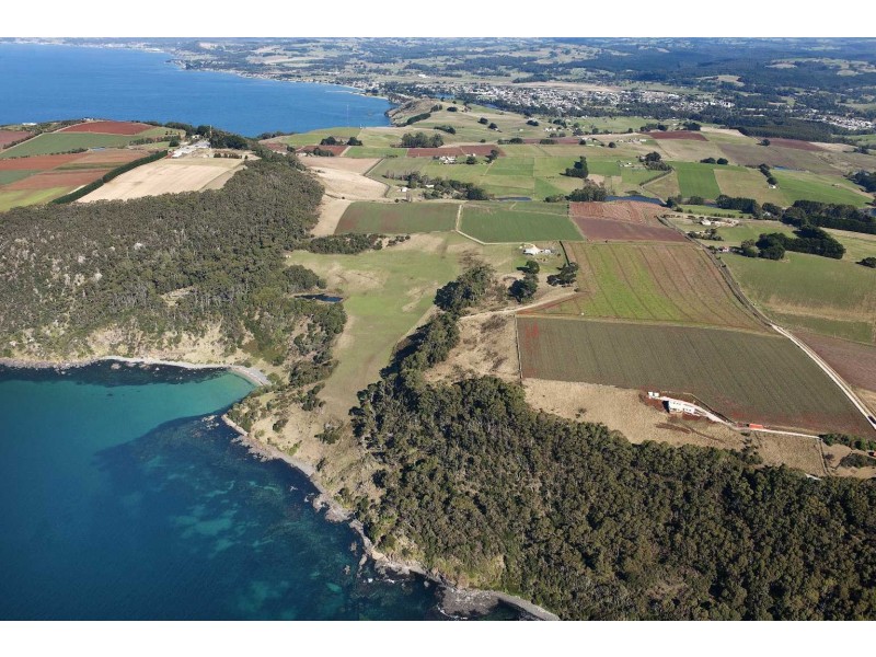 512 Tollymore Road, Table Cape TAS 7325