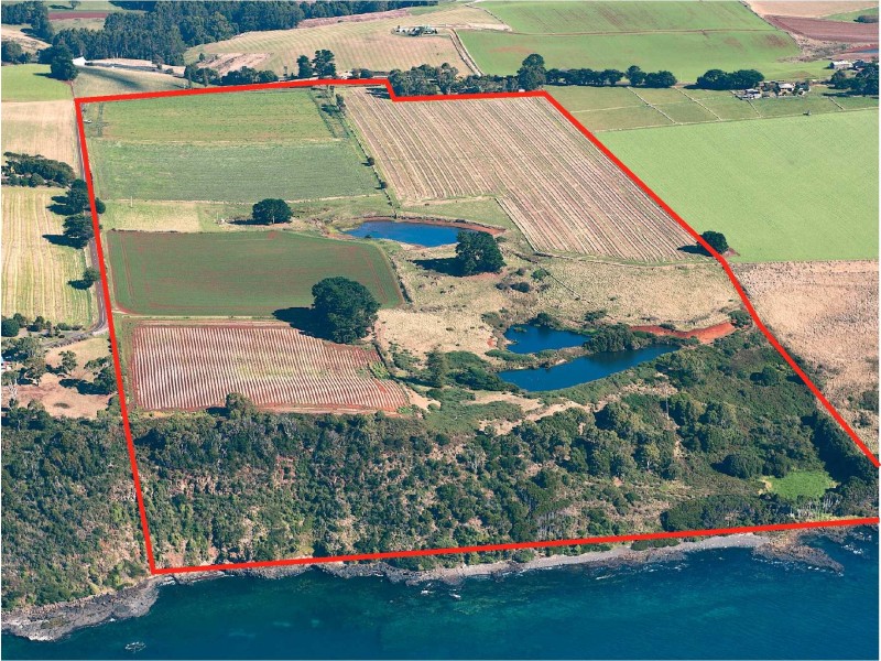 512 Tollymore Road, Table Cape TAS 7325