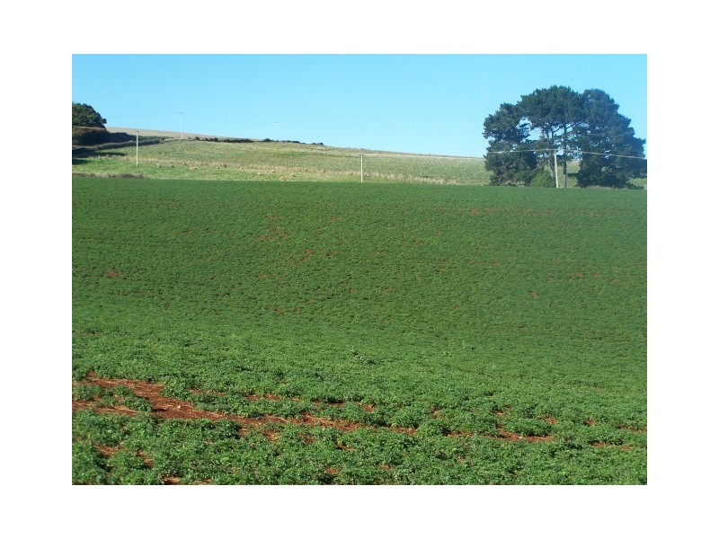 512 Tollymore Road, Table Cape TAS 7325