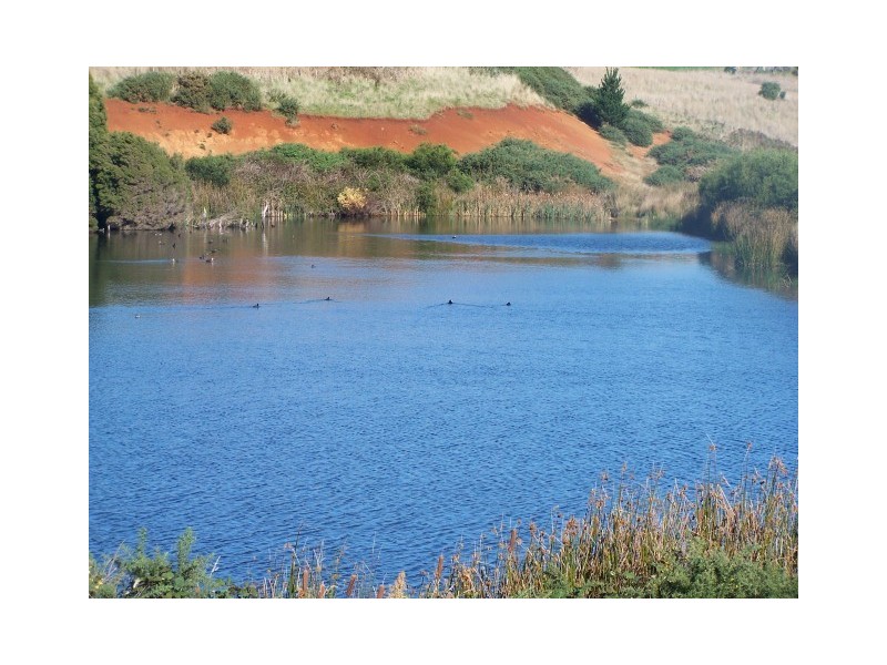 512 Tollymore Road, Table Cape TAS 7325