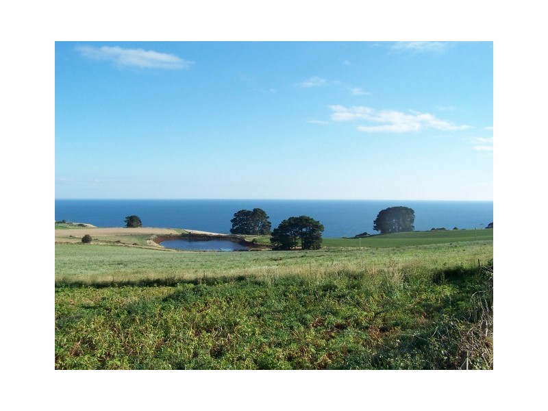 512 Tollymore Road, Table Cape TAS 7325