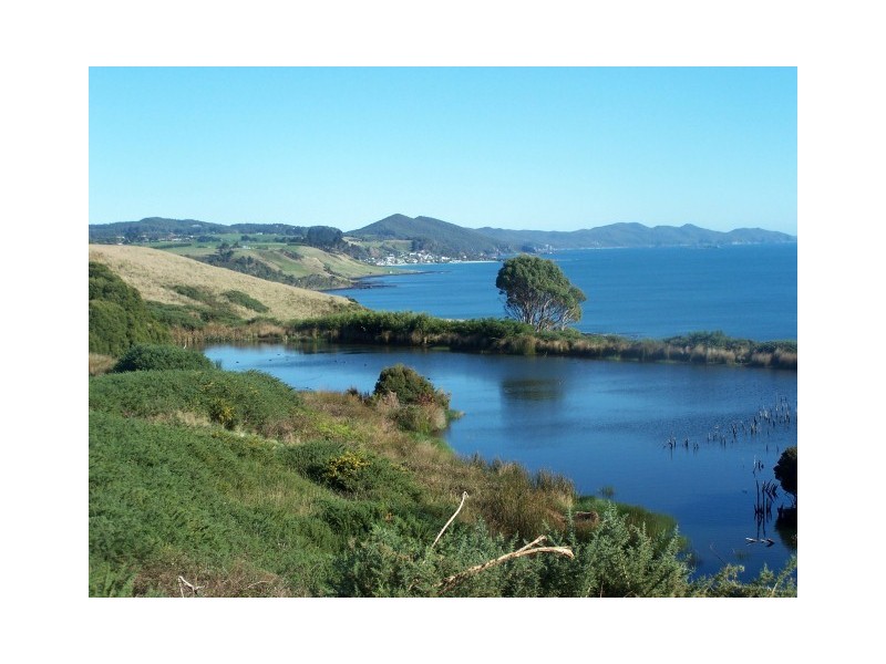 512 Tollymore Road, Table Cape TAS 7325