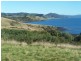 512 Tollymore Road, Table Cape TAS 7325