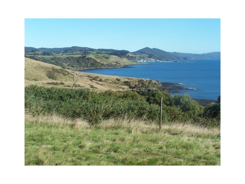 512 Tollymore Road, Table Cape TAS 7325