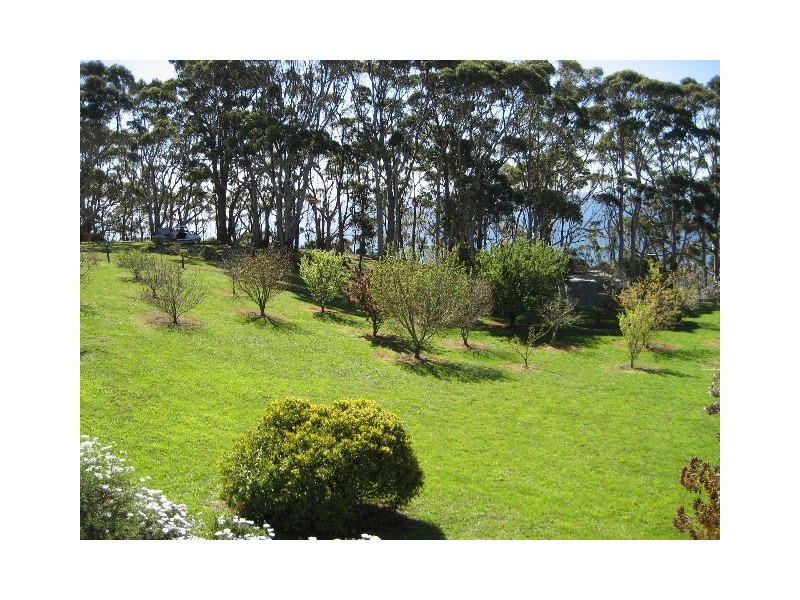 160 Tollymore Road, Table Cape, Wynyard TAS 7325