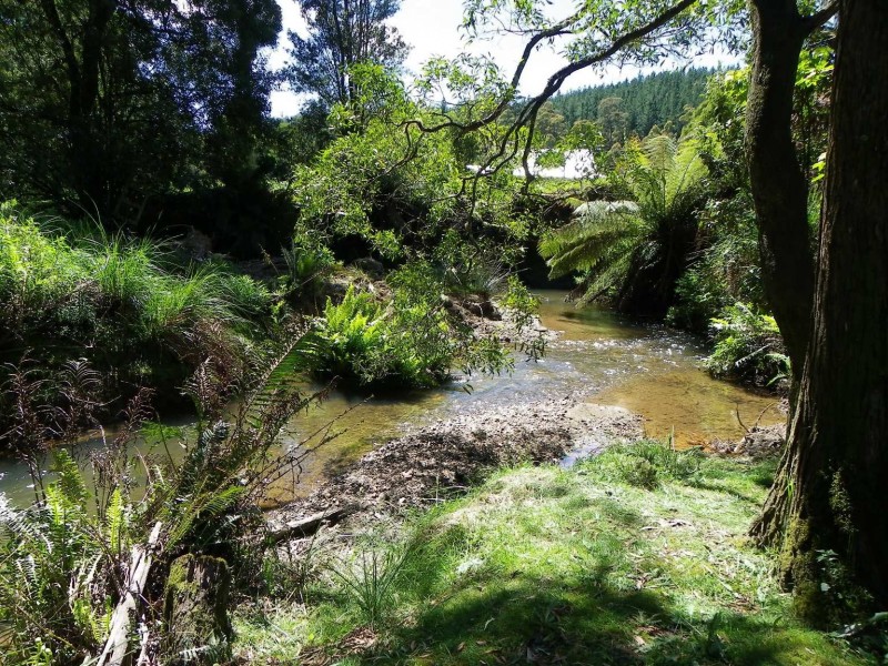 568 Reservoir Drive, Wynyard TAS 7325