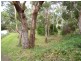 2A Pine Street, Hellyer TAS 7321