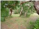 2A Pine Street, Hellyer TAS 7321