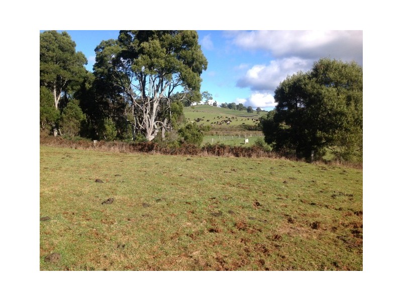 416 Lapoinya Road, Lapoinya TAS 7325