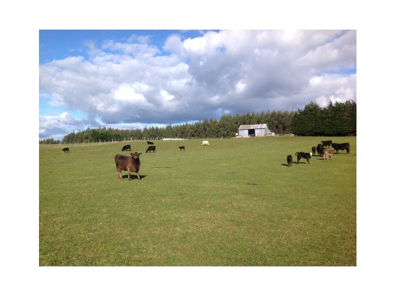 620 East Yolla Road, Yolla TAS 7325
